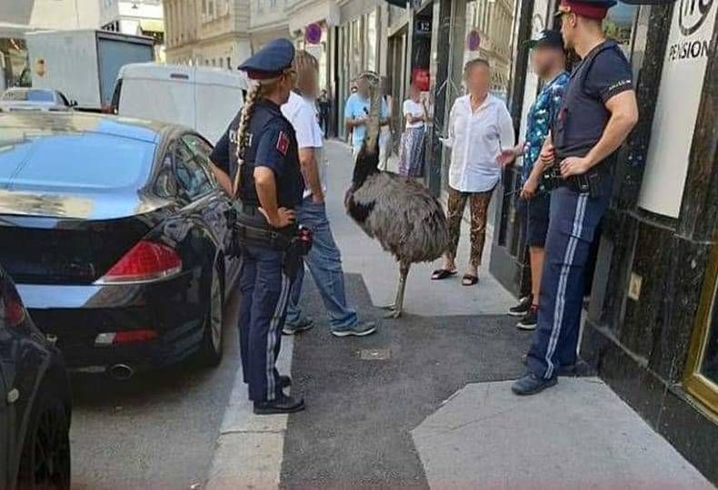 Gewoon een verzameling hilarische foto’s #1465