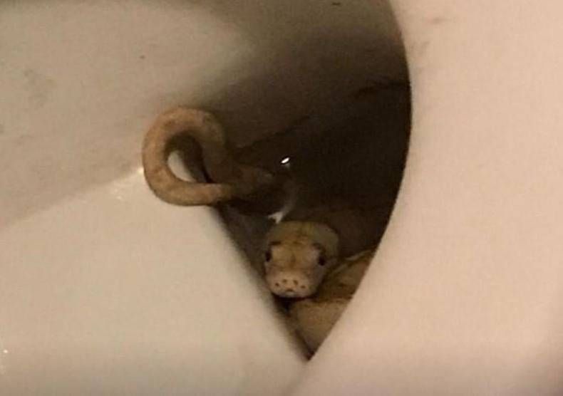 Gewoon een verzameling hilarische foto’s #1464