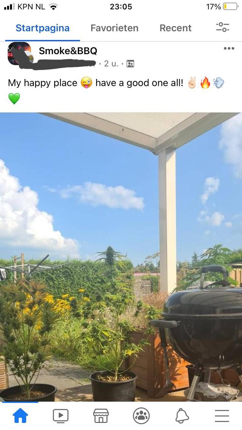 Gewoon een verzameling hilarische foto's #1477