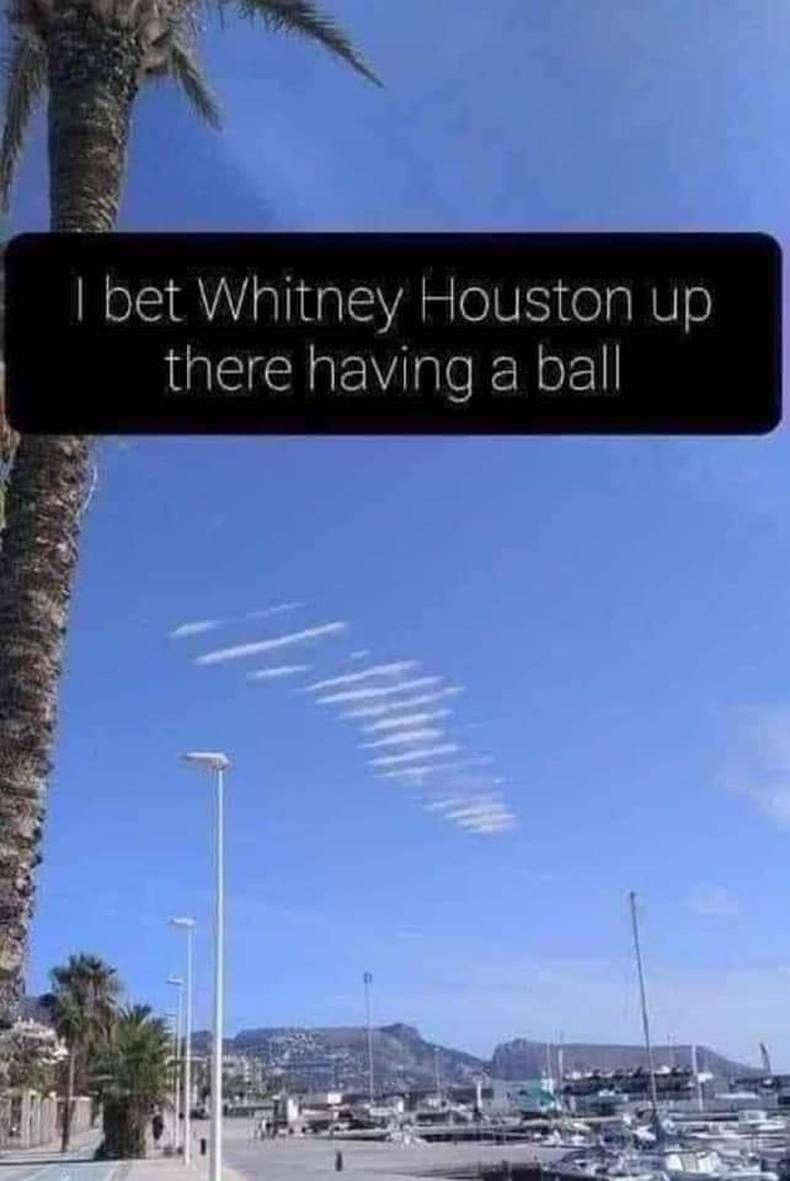 Gewoon een verzameling hilarische foto's #1466