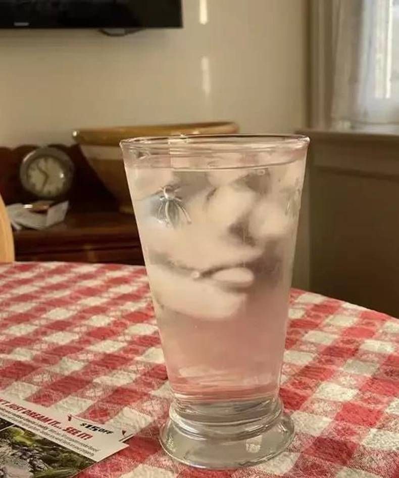 Gewoon een verzameling hilarische foto's #1458