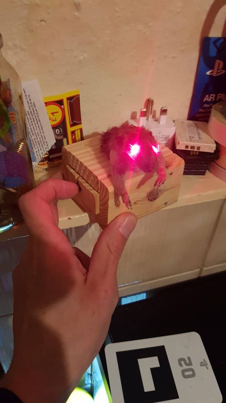 Gewoon een verzameling hilarische foto's #1475