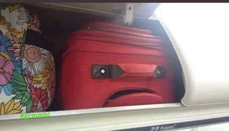 Gewoon een verzameling hilarische foto's #1473