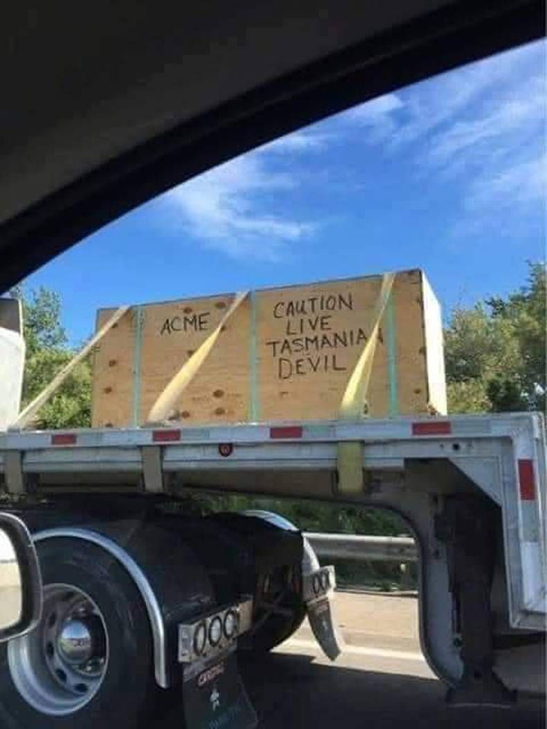 Gewoon een verzameling hilarische foto's #1436