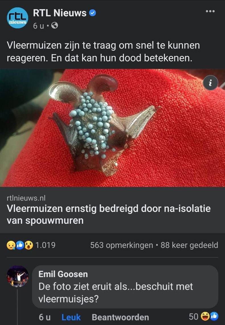 Gewoon een verzameling hilarische foto's #1438