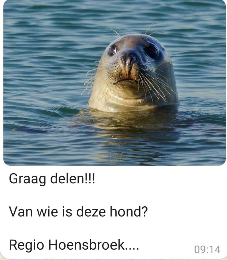 Gewoon een verzameling hilarische foto's #1468