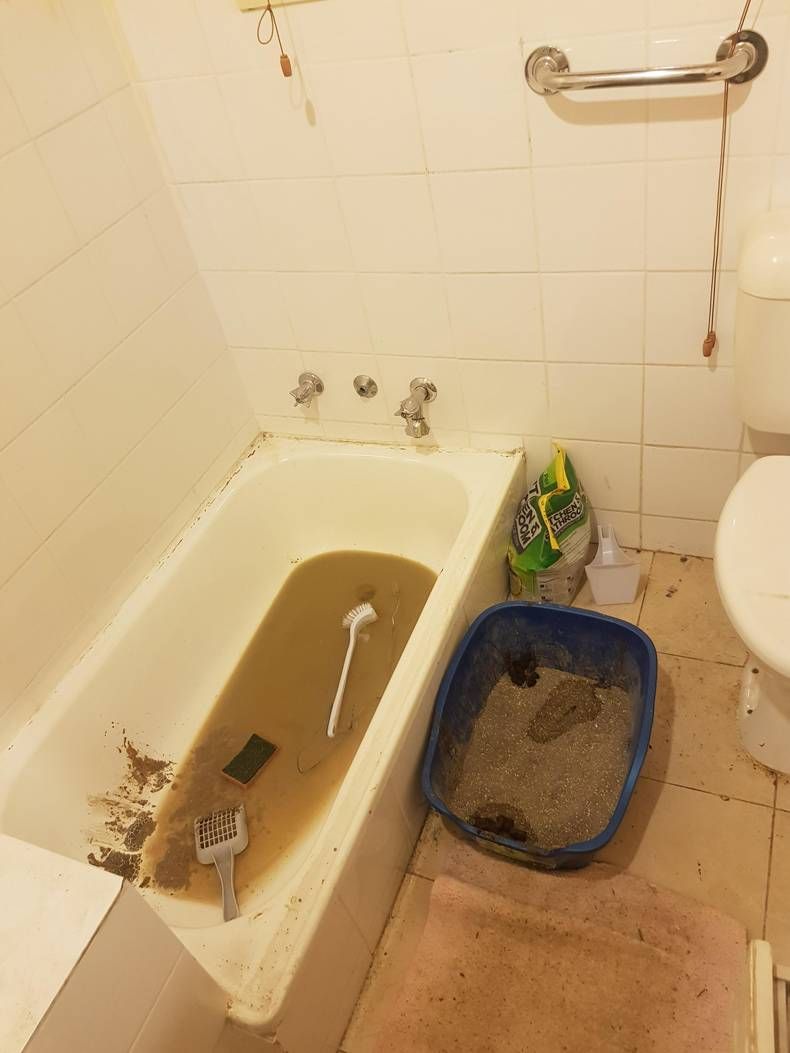 Gewoon een verzameling hilarische foto's #1440