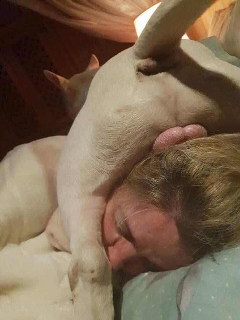 Gewoon een verzameling hilarische foto's #1475