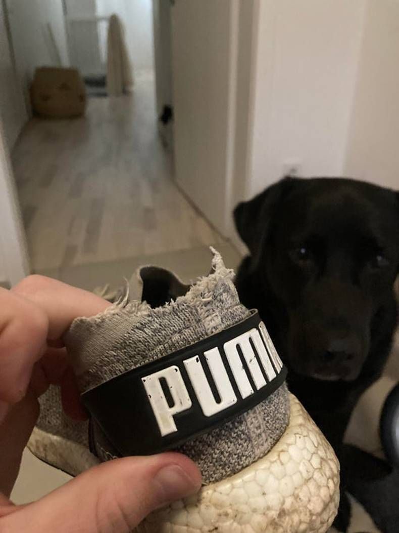 Gewoon een verzameling hilarische foto's #1458