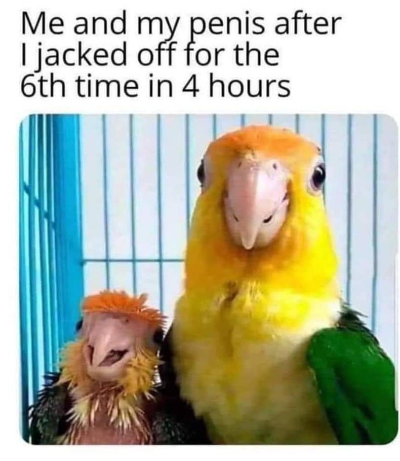 Gewoon een verzameling hilarische foto's #1421