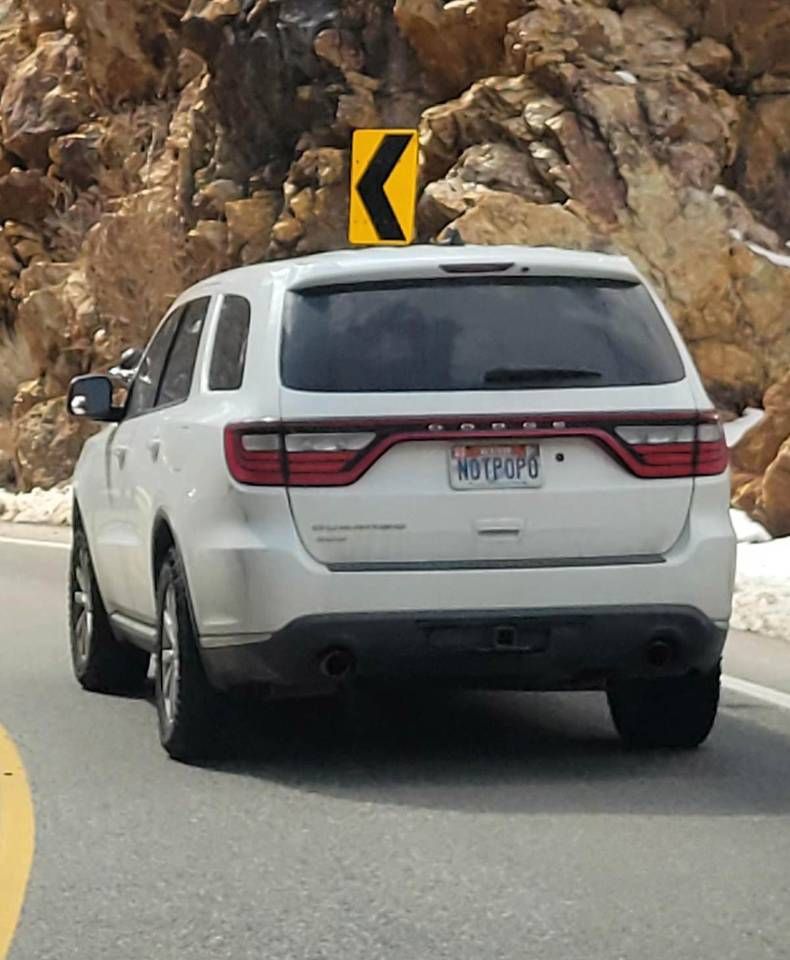 Gewoon een verzameling hilarische foto's #1420