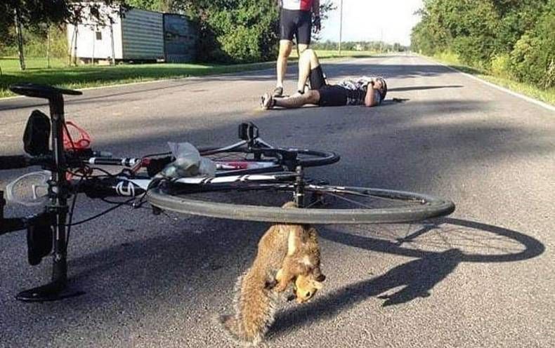 Gewoon een verzameling hilarische foto's #1409