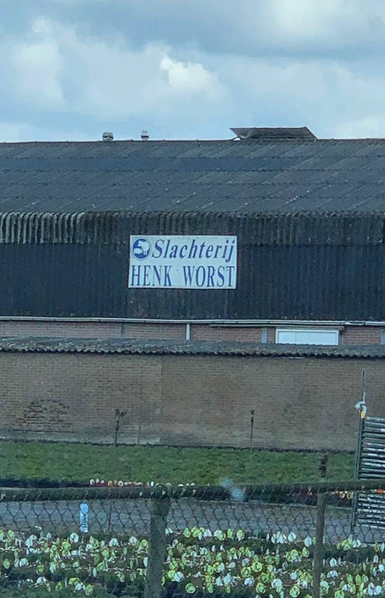 Gewoon een verzameling hilarische foto's #1432