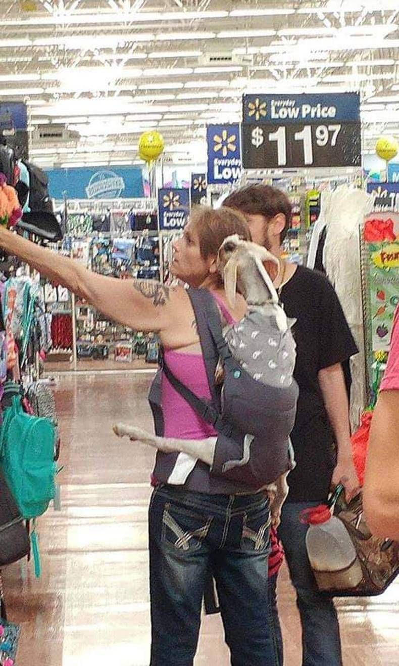 Gewoon een verzameling hilarische foto's #1432