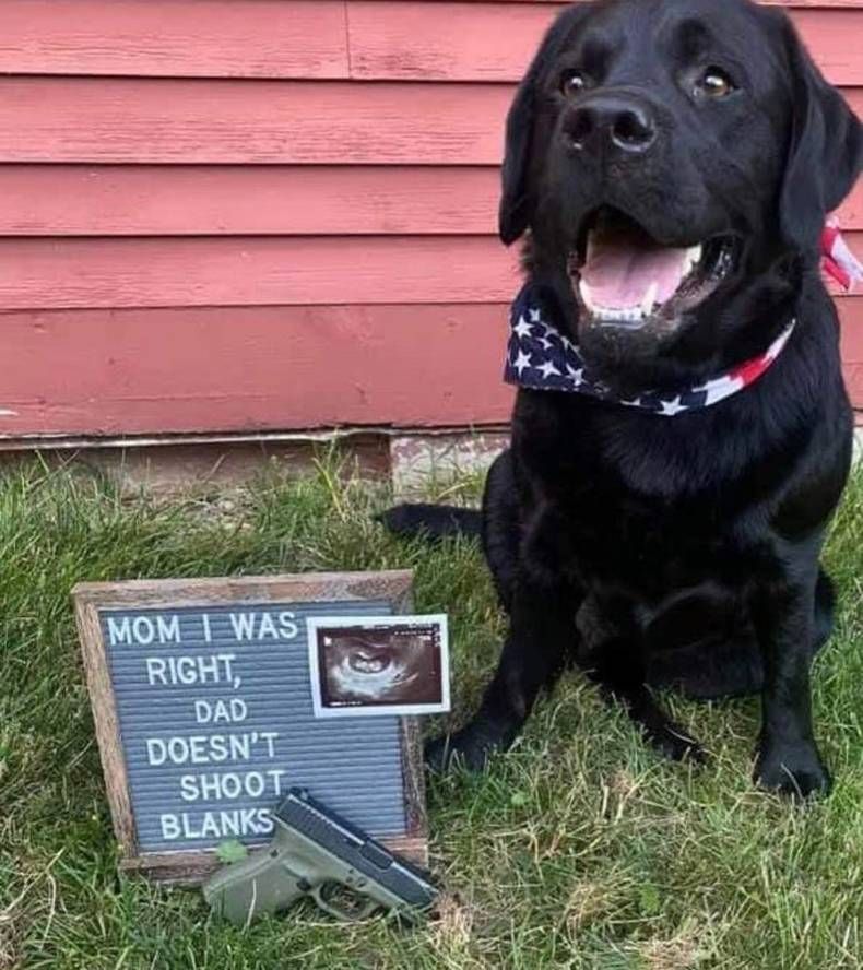 Gewoon een verzameling hilarische foto's #1462