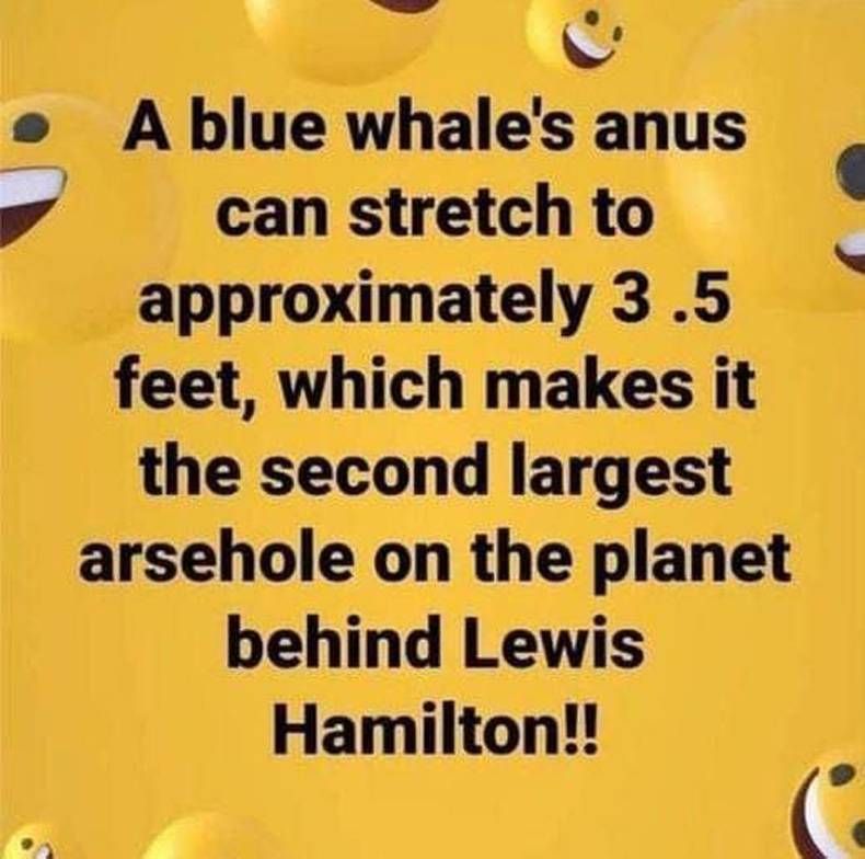 Gewoon een verzameling hilarische foto's #1469