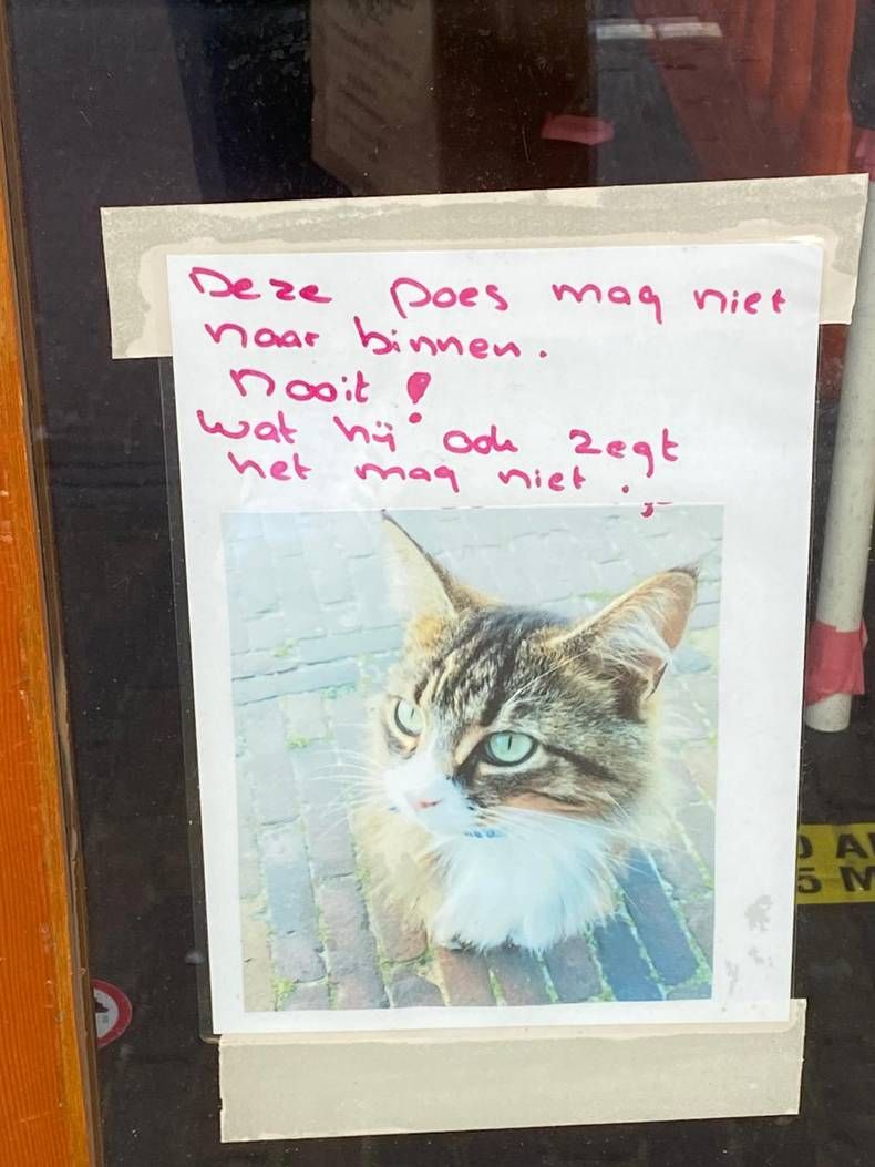 Gewoon een verzameling hilarische foto's #1438