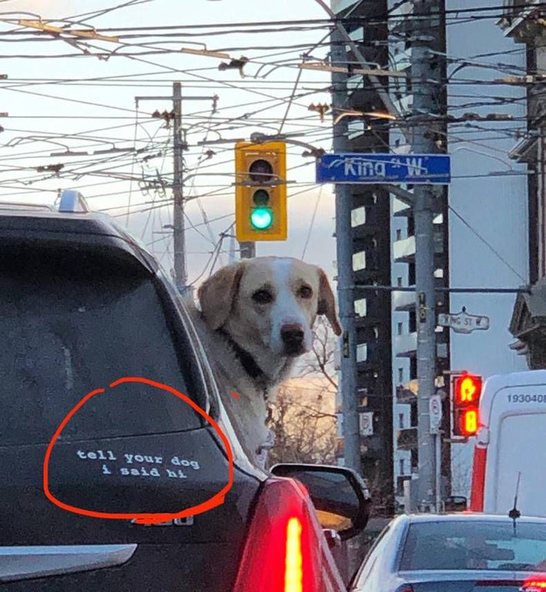 Gewoon een verzameling hilarische foto's #1383