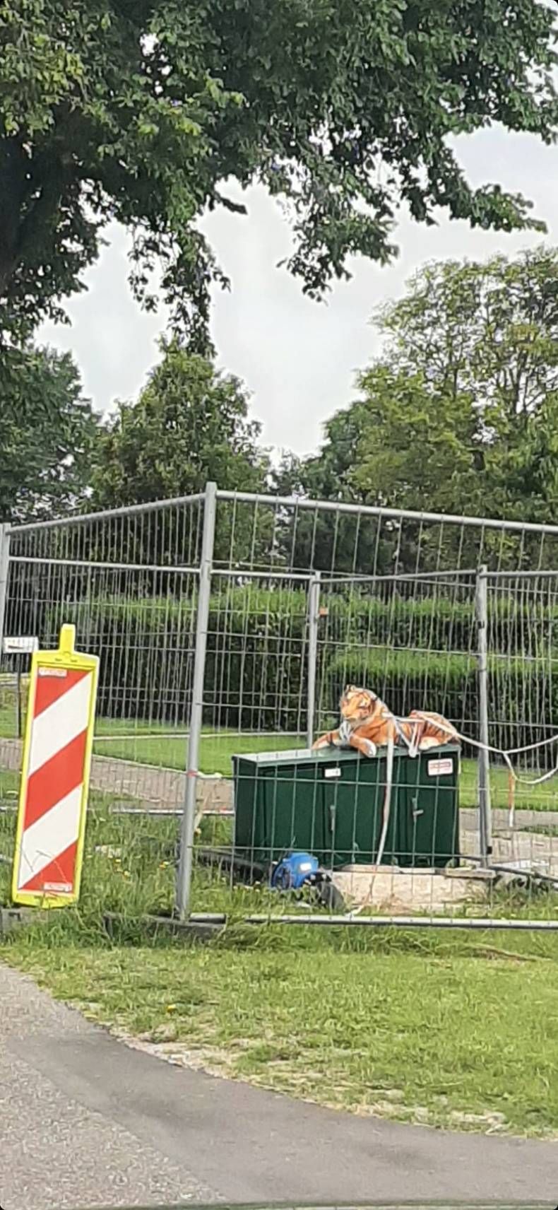 Gewoon een verzameling hilarische foto's #1466