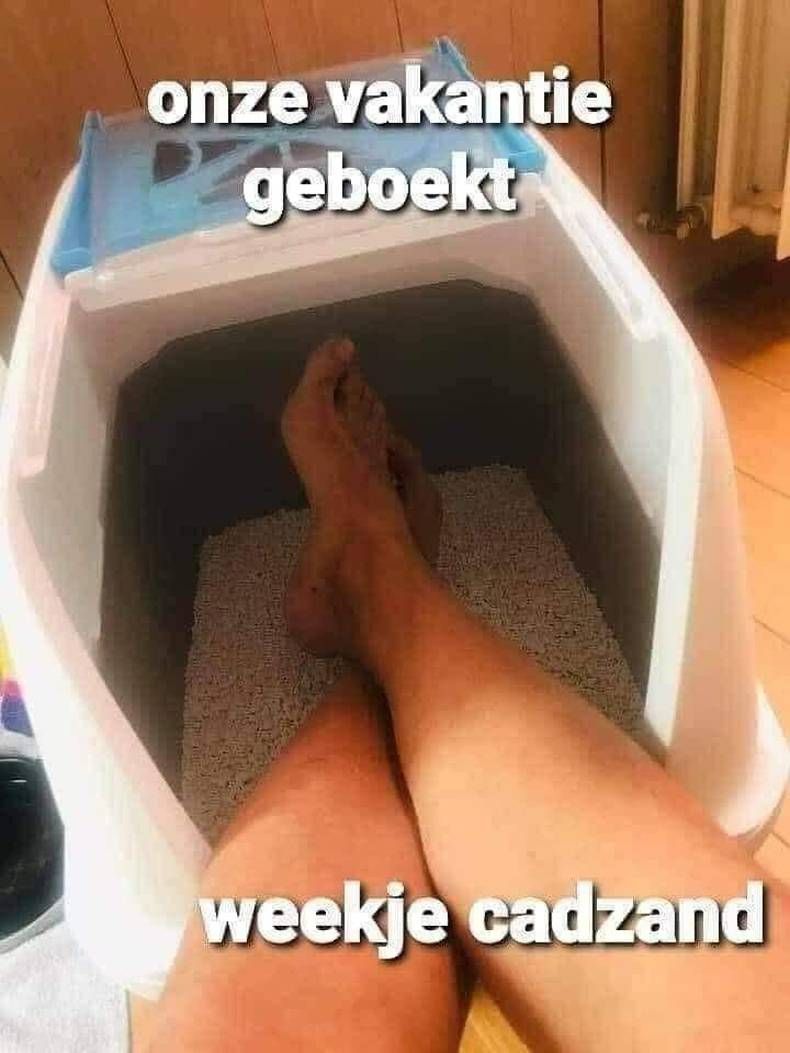 Gewoon een verzameling hilarische foto's #1394