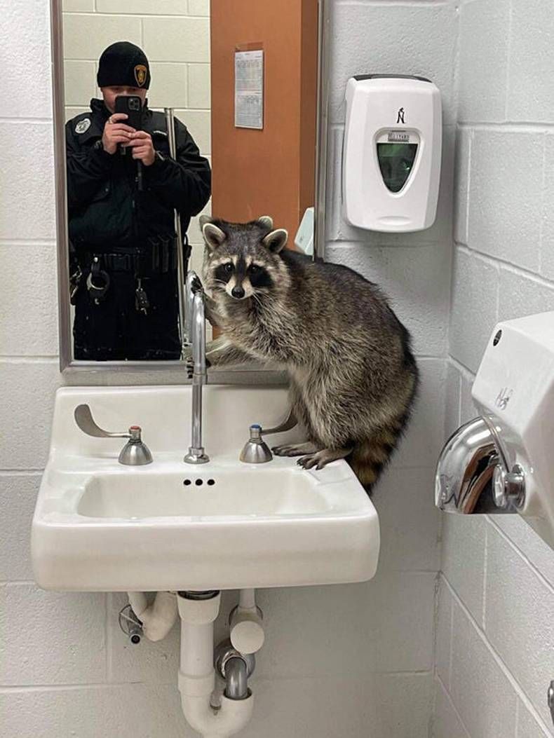 Gewoon een verzameling hilarische foto's #1384