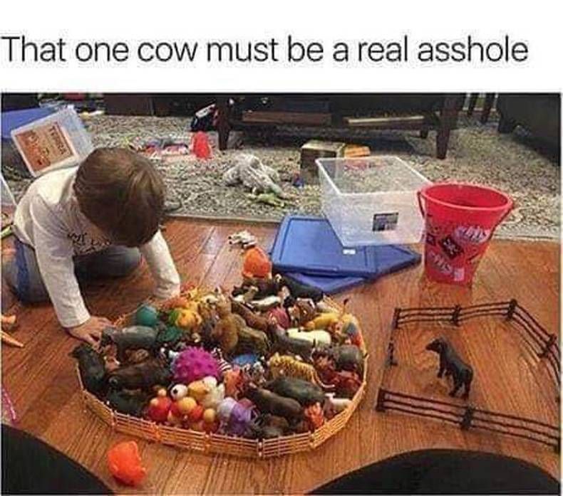 Gewoon een verzameling hilarische foto's #1382