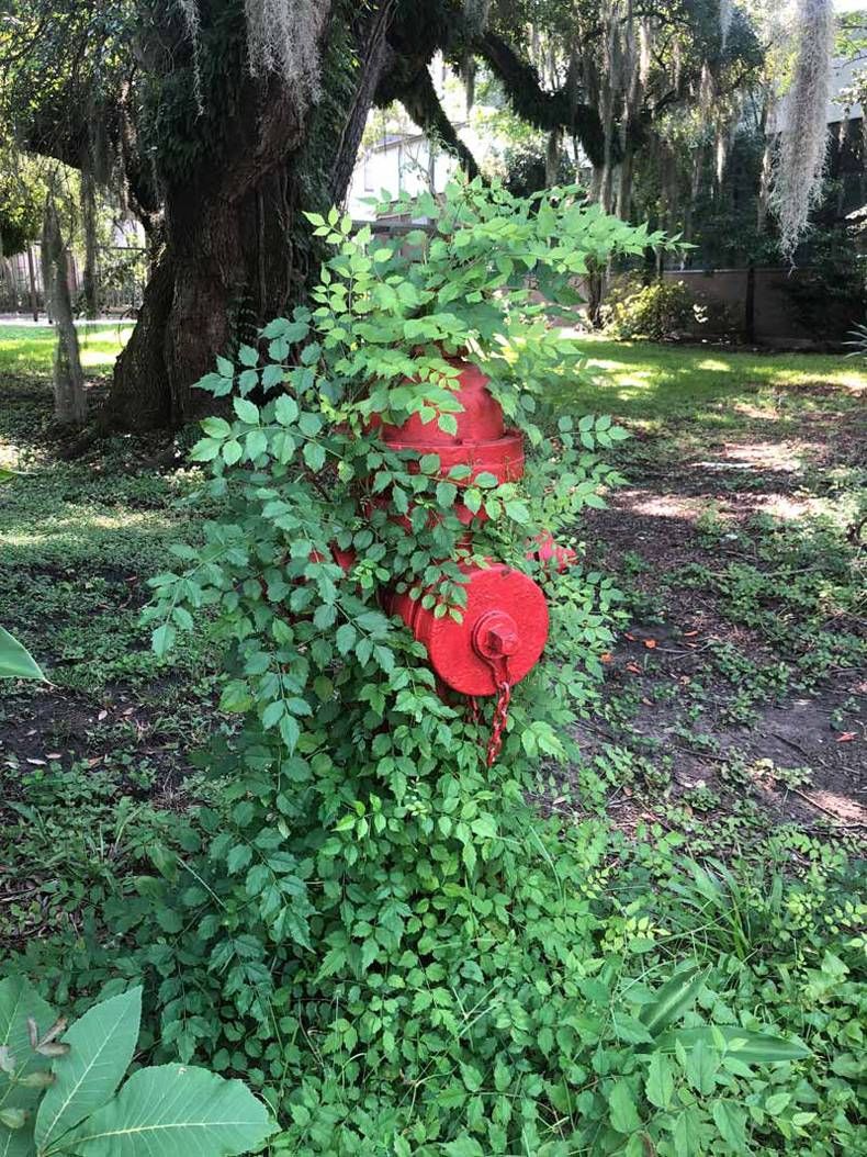 Gewoon een verzameling hilarische foto's #1477