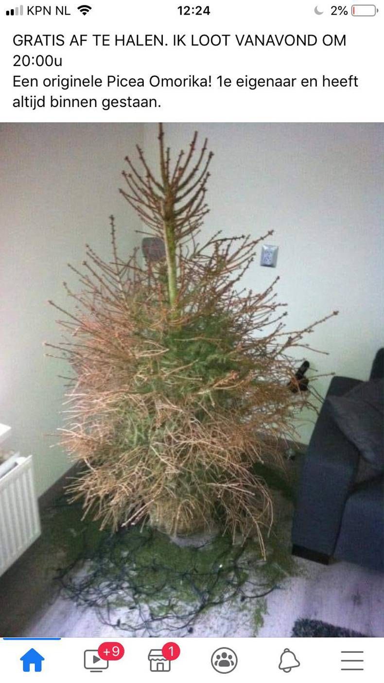 Gewoon een verzameling hilarische foto's #1382