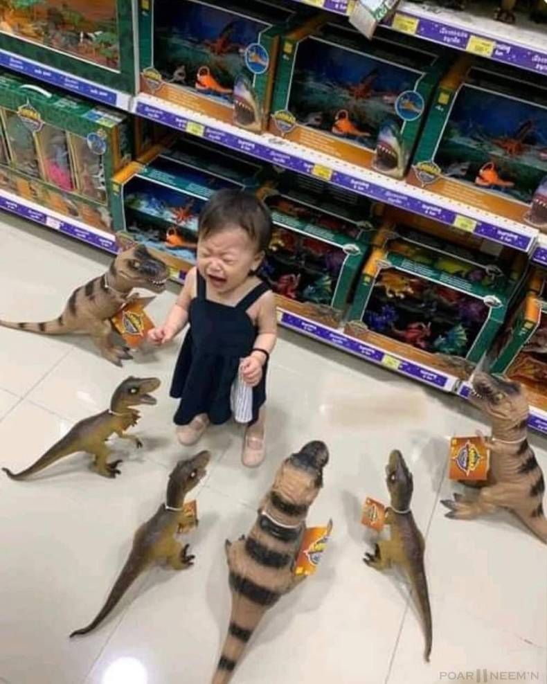 Gewoon een verzameling hilarische foto's #1468