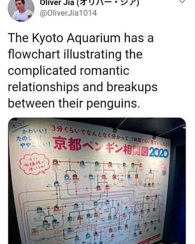 Gewoon een verzameling hilarische foto's #1436