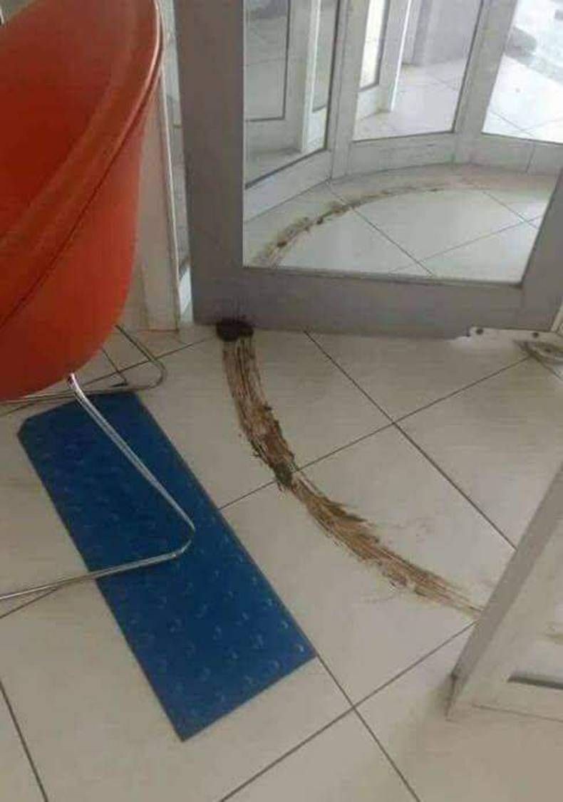 Gewoon een verzameling hilarische foto's #1466