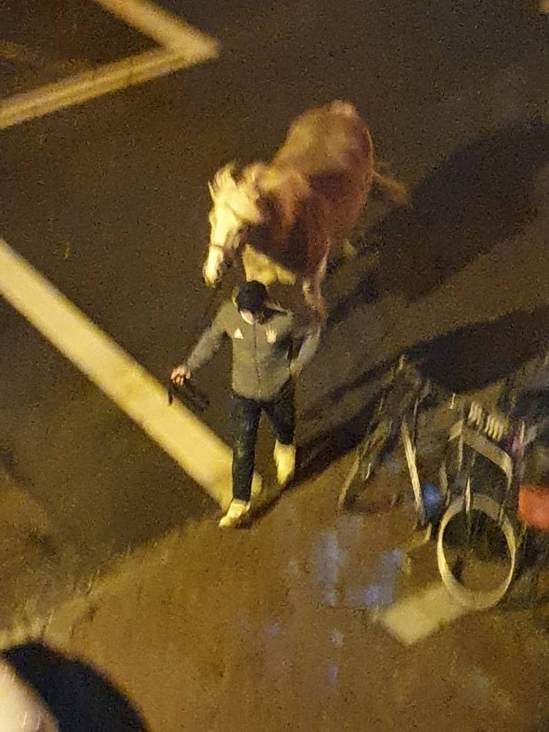 Gewoon een verzameling hilarische foto's #1394