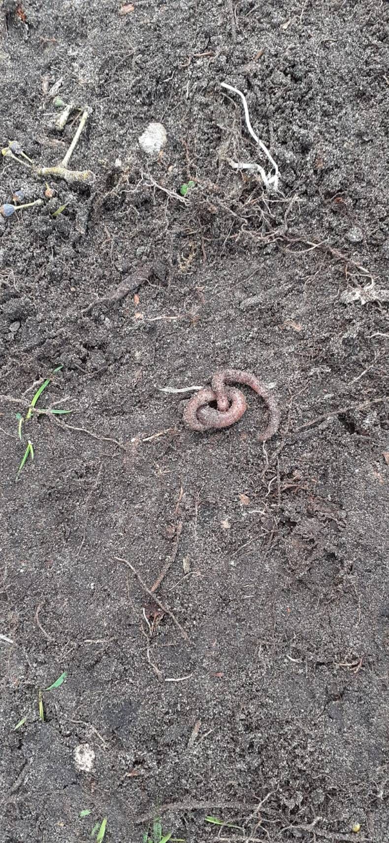 Gewoon een verzameling hilarische foto's #1436