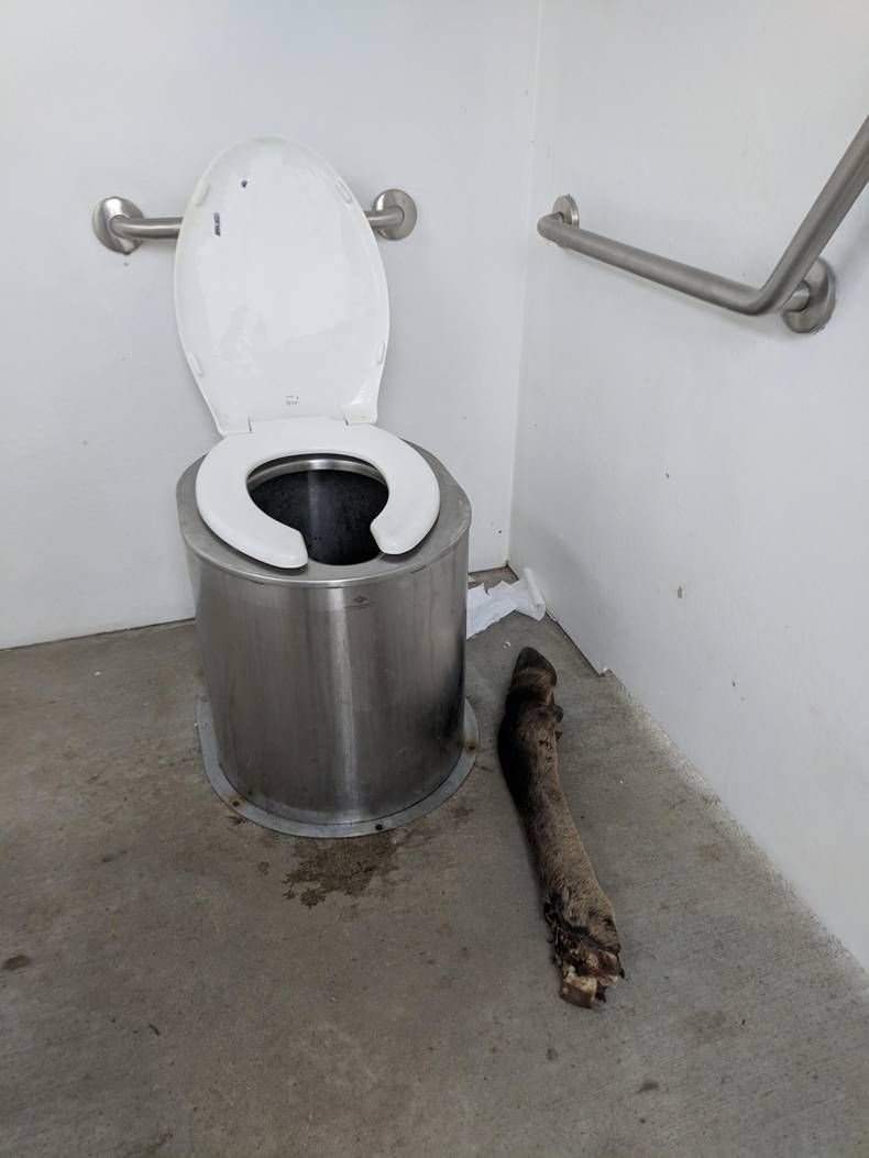 Gewoon een verzameling hilarische foto's #1432