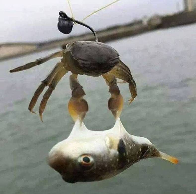 Gewoon een verzameling hilarische foto's #1438