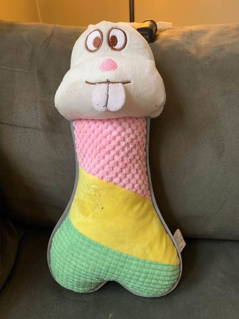 Gewoon een verzameling hilarische foto's #1432