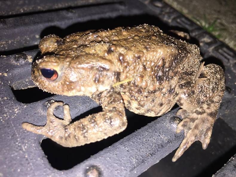 Gewoon een verzameling hilarische foto's #1421