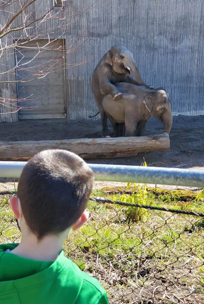 Gewoon een verzameling hilarische foto's #1414