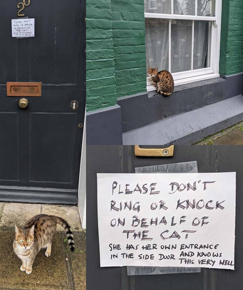 Gewoon een verzameling hilarische foto's #1390