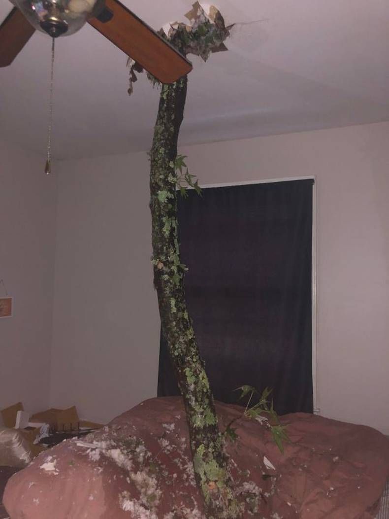 Gewoon een verzameling hilarische foto's #1468