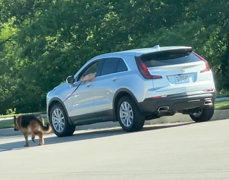 Gewoon een verzameling hilarische foto's #1438