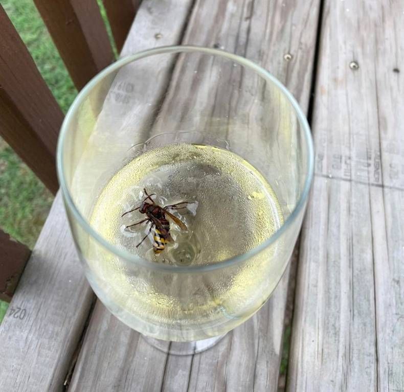 Gewoon een verzameling hilarische foto's #1468