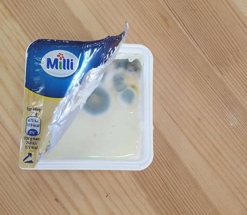 Gewoon een verzameling hilarische foto's #1468