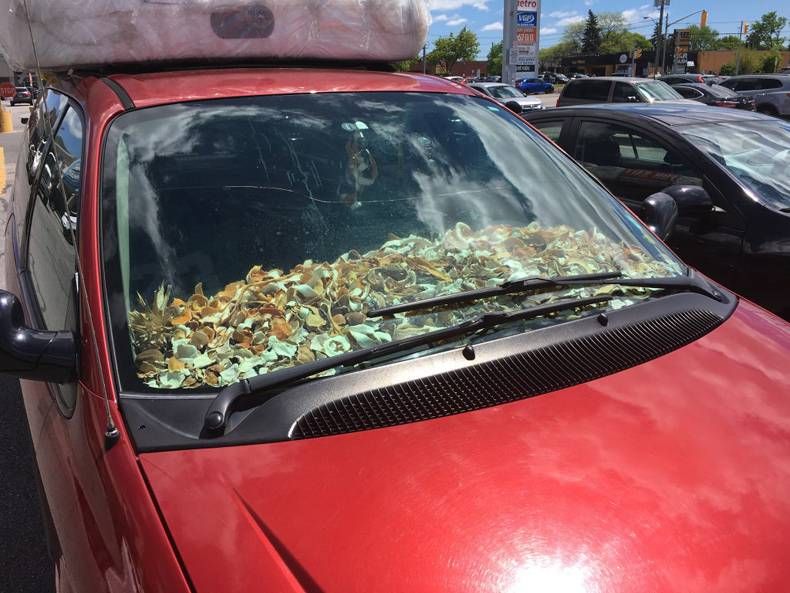 Gewoon een verzameling hilarische foto's #1438