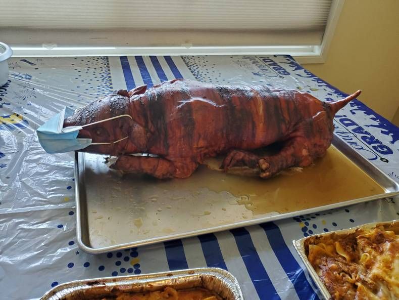 Gewoon een verzameling hilarische foto's #1466