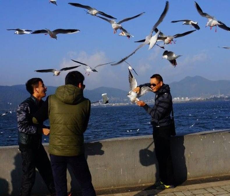 Gewoon een verzameling hilarische foto's #1390