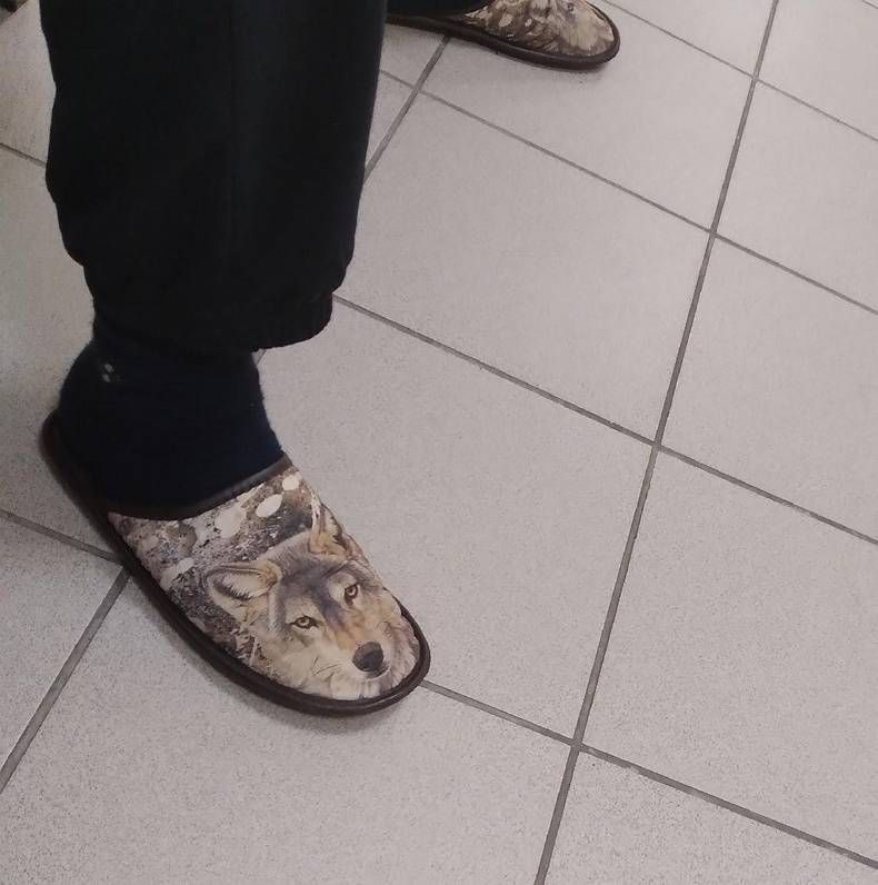 Gewoon een verzameling hilarische foto's #1382