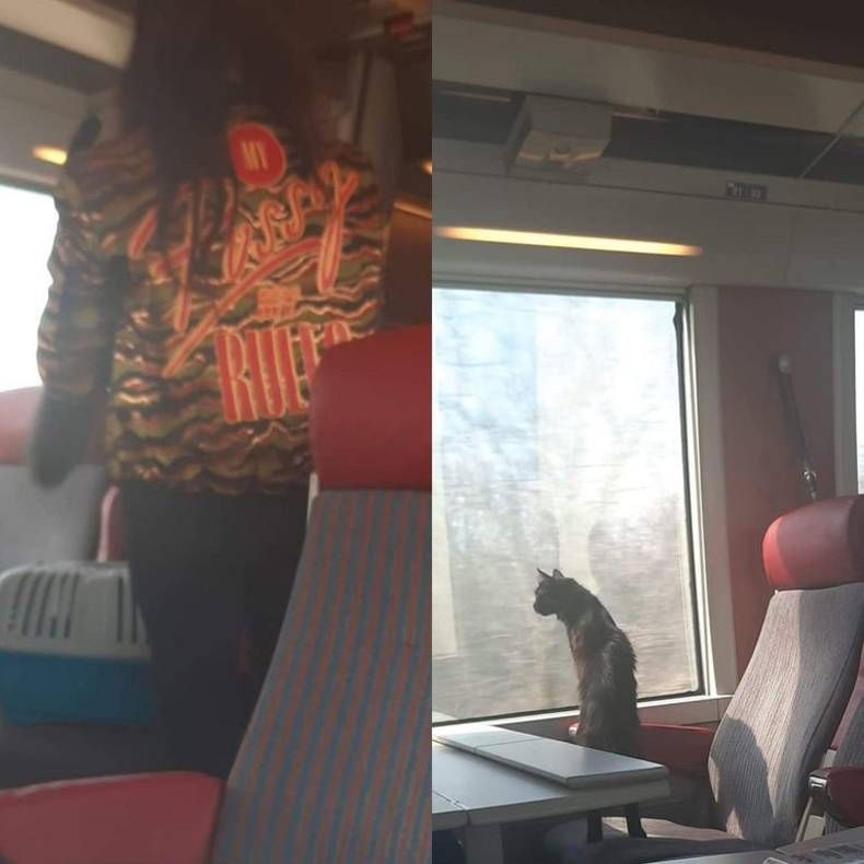 Gewoon een verzameling hilarische foto's #1421