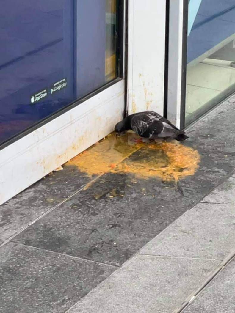 Gewoon een verzameling hilarische foto's #1468