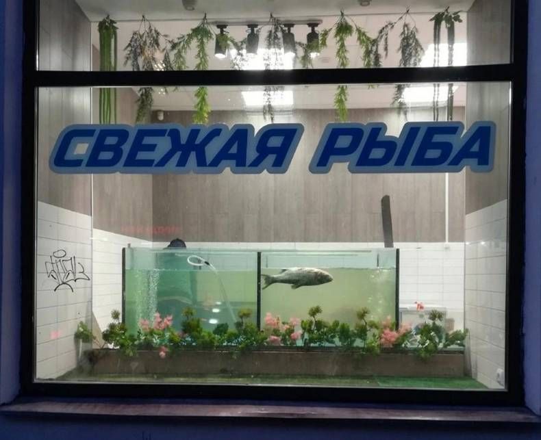 Gewoon een verzameling hilarische foto's #1421